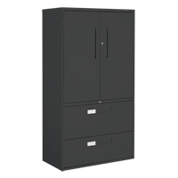 Multi-Stor Cabinet, Steel, 3 Shelves, 65-1/4" H x 36" W x 18" D, Black NRZ Safety Inc.