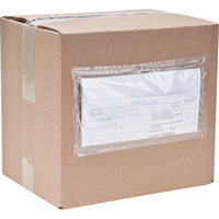 Packing List Envelopes, 4" L x 5" W, Endloading Style NRZ Safety Inc.