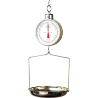 Hanging Dial Scales NRZ Safety Inc.