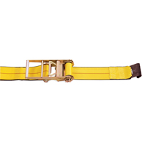 Tendeurs d'arrimage &agrave; cliquet, Crochet plat, 4" , 30' , Charge d'utilisation max. 5400 lb (2450 kg) NRZ Safety Inc.
