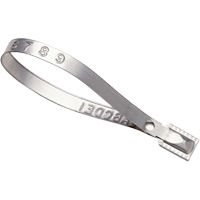 Guard Lock&reg; Seals, 8-3/8", Metal, Truck Seal NRZ Safety Inc.