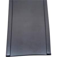 Card Holder, Magnetic, 600" L x 2" W NRZ Safety Inc.