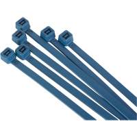 Attache-c&acirc;ble magn&eacute;tique, 6" lo, R&eacute;sistance &agrave; la traction 120 lb NRZ Safety Inc.