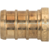 Lead-Free Pipe Plug, Pipe, 1/2" Dia., Brass NRZ Safety Inc.