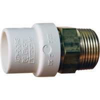 Threaded Pipe Adapter, Hub x MPT, 1" Dia., Brass/CPVC NRZ Safety Inc.