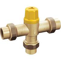 Adjustable Temperature Thermostatic Mixing Valve NRZ Safety Inc.