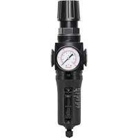 Manual Drain Filter/Regulator with Metal Bowl Modulair 300, 1/4" NPT, 250 PSI, 5.1 fl. oz. Capacity NRZ Safety Inc.