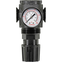 Regulator with Gauge Modulair 300, 1/4" NPT, 300 psi Max. PSI, In Line/Modular NRZ Safety Inc.