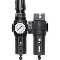 Manual Drain Filter, Regulator & Coalescing Filter with Standard Bowl Modulair 300, 1/4" NPT, 150 PSI, 5.1 fl. oz. Capacity NRZ Safety Inc.