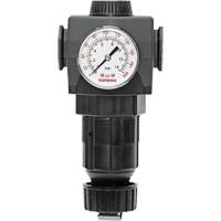 Regulator with Gauge Modulair 400, 3/4" NPTF, 125 PSI Max. PSI, In Line/Modular NRZ Safety Inc.