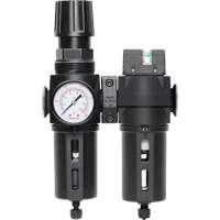 Filter/Regulator & Coalescing Filter Modulair 300 with Standard Bowl & Manual Drain, 3/8" NPTF, 150 PSI, 5.12 fl. oz. Capacity NRZ Safety Inc.