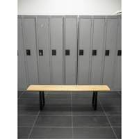 Locker Room Bench, Wood, 48" L x 9-1/4" W x 16-1/2" H NRZ Safety Inc.