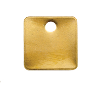 Blank Tags, Brass, 1.25" dia NRZ Safety Inc.