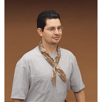 Cool Offs Bandana, Multi-Colour NRZ Safety Inc.