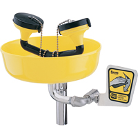 Poste de douche oculaire, Installation Support pour tuyau d'approvisionnement, Bol Plastique NRZ Safety Inc.