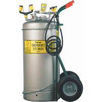 Self-Contained Eyewash Station, Pressurized, 37 gal. Capacity, Meets ANSI Z358.1 NRZ Safety Inc.