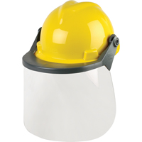 Ensembles de protection de la t&ecirc;te & du visage NRZ Safety Inc.