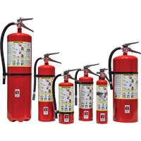 Fire Extinguisher, ABC, 30 lbs. Capacity NRZ Safety Inc.
