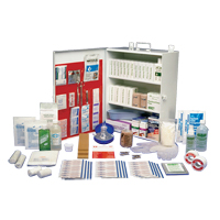 Workplace Deluxe First Aid Kits, Class 1 Medical Device, Metal Box NRZ Safety Inc.