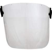 Visi&egrave;re Peltor, Ac&eacute;tate, Teinte Transparent NRZ Safety Inc.