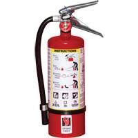 Fire Extinguisher, ABC, 5 lbs. Capacity NRZ Safety Inc.