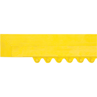Rampe de bordure pour tapis NRZ Safety Inc.