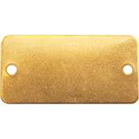 Blank Tags, Brass, 2" W x 1" H NRZ Safety Inc.