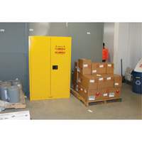 Flammable Storage Cabinet, 45 gal., 2 Door, 43" W x 65" H x 18" D NRZ Safety Inc.