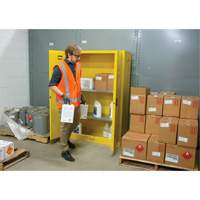 Flammable Storage Cabinet, 45 gal., 2 Door, 43" W x 65" H x 18" D NRZ Safety Inc.