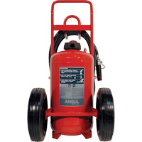 Extincteurs Red Line sur roues, BC, Capacit&eacute; 150 lb NRZ Safety Inc.
