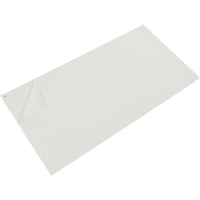 Tapis pelables de rechange pour salle blanche, &eacute;paisseur 1,57 mils, 1-1/2' la, 3-3/4' lo x Blanc NRZ Safety Inc.
