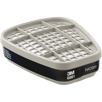 Respiratory Cartridge and Filters