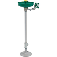 Axion&reg; Eye/Face Wash Station, Pedestal Installation, Plastic Bowl NRZ Safety Inc.