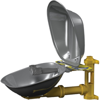 Poste de douche oculaire Halo, Installation Montage mural, Bol Acier inoxydable NRZ Safety Inc.