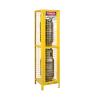 Armoires pour cylindres &agrave; gaz, nbre de bouteilles: 2, 17" , 17" , 69" , Jaune NRZ Safety Inc.