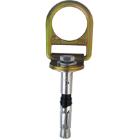 PRO Concrete D-ring Anchor with Bolt, Concrete/D-Ring, Permanent Use NRZ Safety Inc.