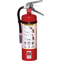 Fire Extinguisher, ABC, 5 lbs. Capacity NRZ Safety Inc.