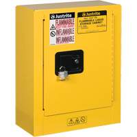 Sure-Grip&reg; EX Mini Flammable Safety Cabinet, 2 Gal., 1 Door, 17" W x 22" H x 8" D NRZ Safety Inc.