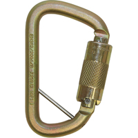 Rollgliss Technical Rescue Offset D Fall Arrest Carabiner, Steel, 3600 lbs Capacity NRZ Safety Inc.