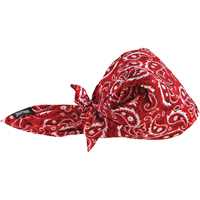 Chill-Its&reg; 6710CT Cooling Triangle Hats, Red NRZ Safety Inc.