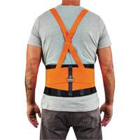 ProFlex 100HV Economy Spandex Hi-Vis Back Support Brace, Elastic, X-Small NRZ Safety Inc.