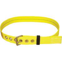 Ceinture avec boucle &agrave; ardillon Delta NRZ Safety Inc.