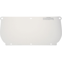 Visi&egrave;re, Polycarbonate, Teinte Transparent NRZ Safety Inc.