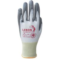 Gants r&eacute;sistants &agrave; la coupe PowerFit Lebon, Taille T-petit/6, Calibre 13, Rev&ecirc;tement Polyur&eacute;thane, Enveloppe en Poly&eacute;thyl&egrave;ne, ASTM ANSI niveau A2/EN 388 niveau B NRZ Safety Inc.