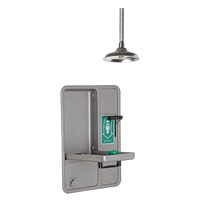 Eye/Face Wash and Shower, Ceiling-Mount NRZ Safety Inc.