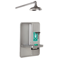 Eye/Face Wash and Shower, Ceiling-Mount NRZ Safety Inc.