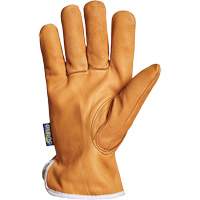 Gants de conducteur Endura, Petit, Paume en Cuir fleur de ch&egrave;vre, Thinsulate NRZ Safety Inc.