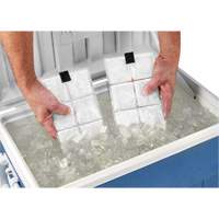 Chill-Its&reg; 6250 Phase Change Cooling Vest Packs NRZ Safety Inc.