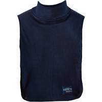 FR Dickie NRZ Safety Inc.