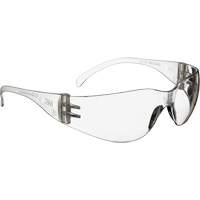 Virtua Safety Glasses, Clear Lens, Anti-Fog, Meets/Exceeds CSA Z94.3 NRZ Safety Inc.